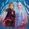 AMSCAN Lunch Napkins Frozen 2 SRT -Party Supplies Store 66331 8832711 1 3 800