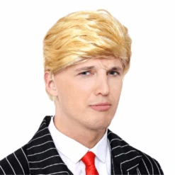 MR PRESIDENT WIG